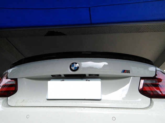 F22  3D style rear spoiler, carbon 1