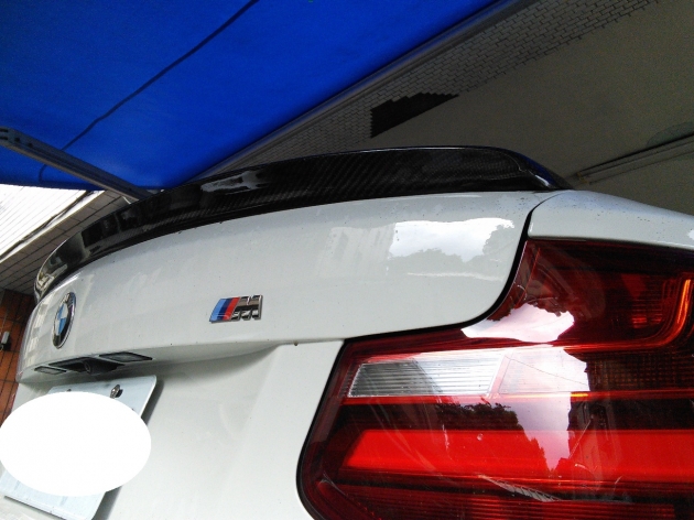 F22  3D style rear spoiler, carbon 2